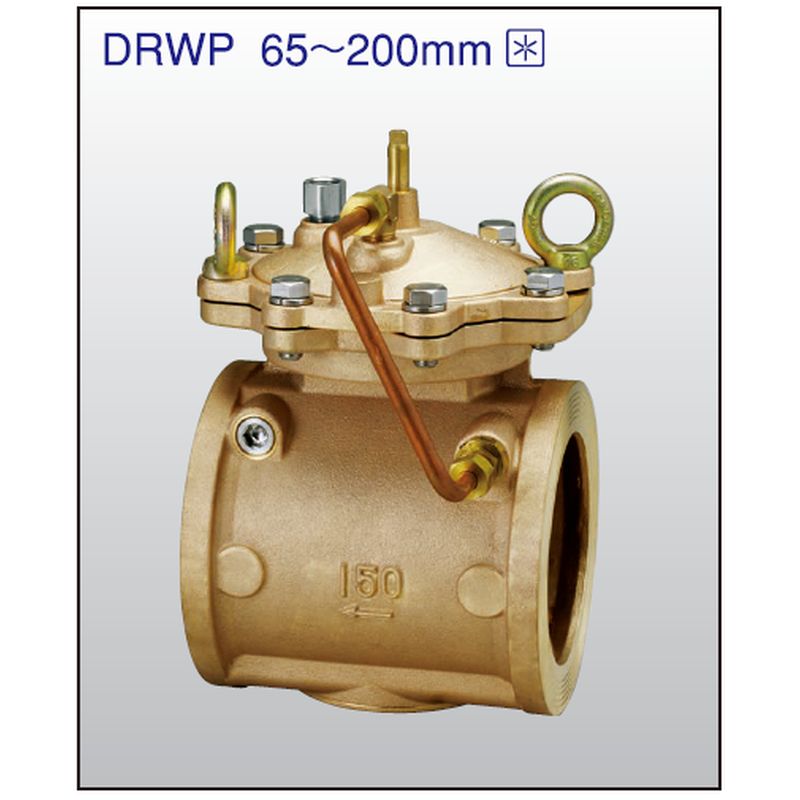 兼工業 DRWP ウェハー式定水位弁【本体CAC406】
