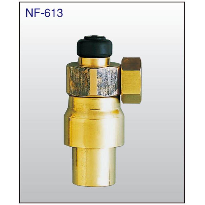 NF-613 ቷ쓮