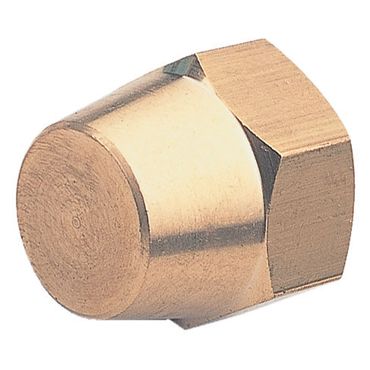 FN �t���A�[�L���b�v (C3604)