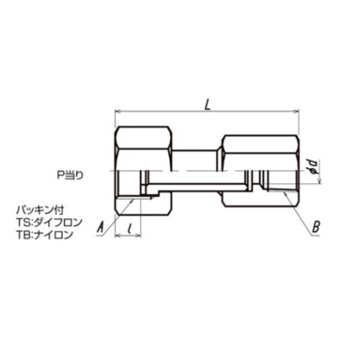 }gY TS153 XXX(܃ibg^Cv) SUS W22-14(E)(P)xRc3/8