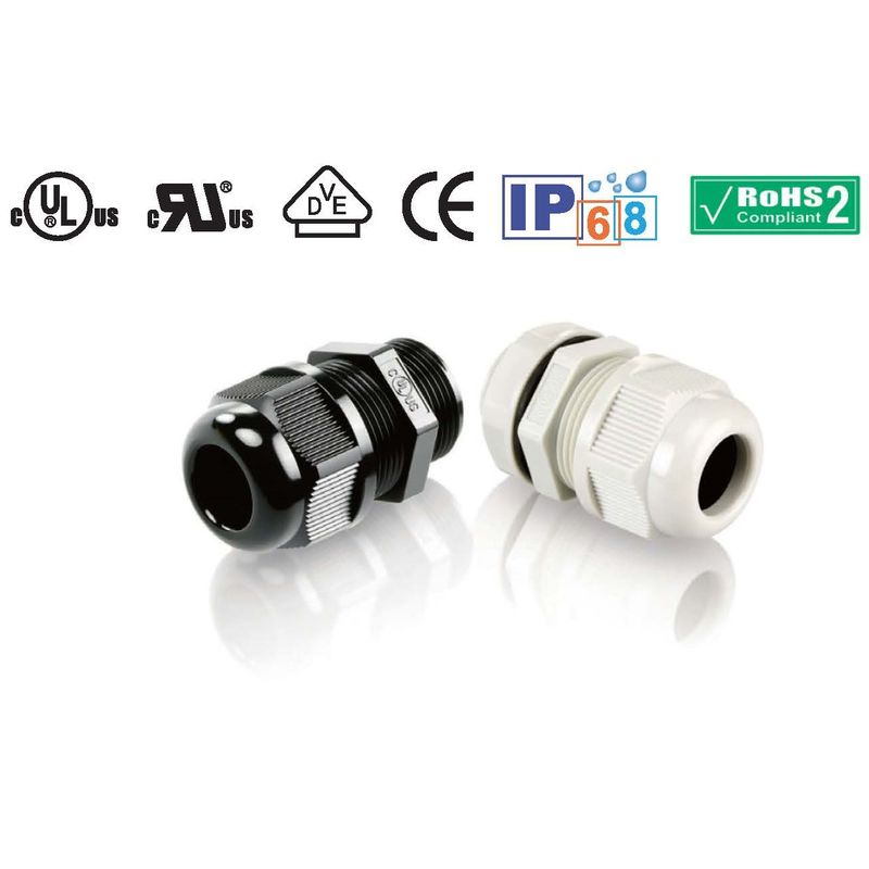 210-2010 M�l�W�P�[�u���O�����h(A�^/����) ���F �����^