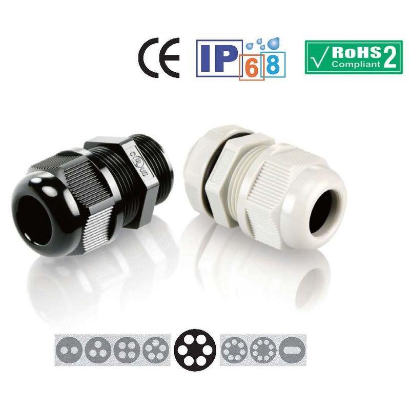 210-8010 ���c�^�P�[�u���O�����h(6�c) ���F ����-���c�^