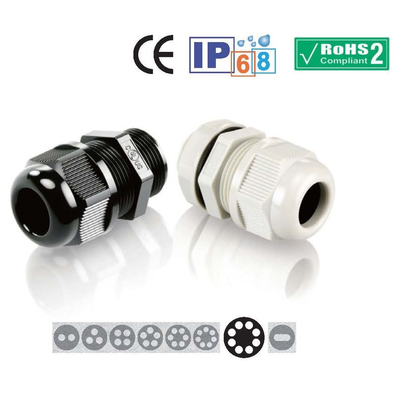 210-8010 ���c�^�P�[�u���O�����h(8�c) ���F ����-���c�^