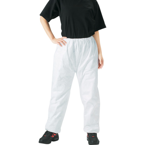 DPM301 �^�C�x�b�N����ƕ� �Y�{��