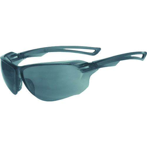 TSG-108�� ���^�Z�[�t�e�B�O���X(�������c��)