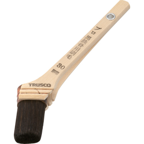 TPB-21�� �v�����S���p����