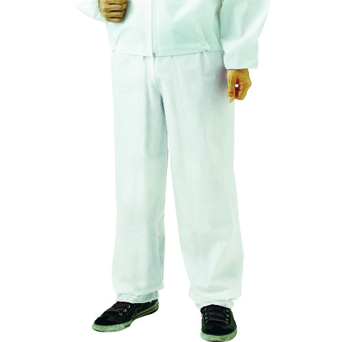 TPC-Z-��-80 �s�D�z�g���̂ĕی앞�Y�{�� 80����