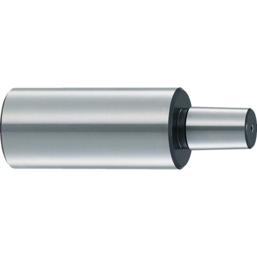 TCAS-�� �`���b�N�A�[�o�[ �e�X�g���[�g�^�C�v