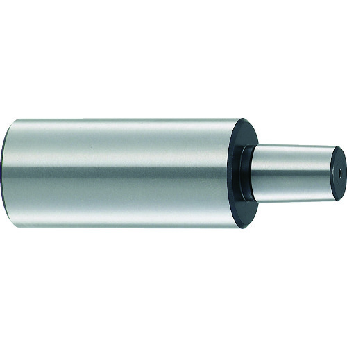 TCAS-�� �`���b�N�A�[�o�[ �e�X�g���[�g�^�C�v