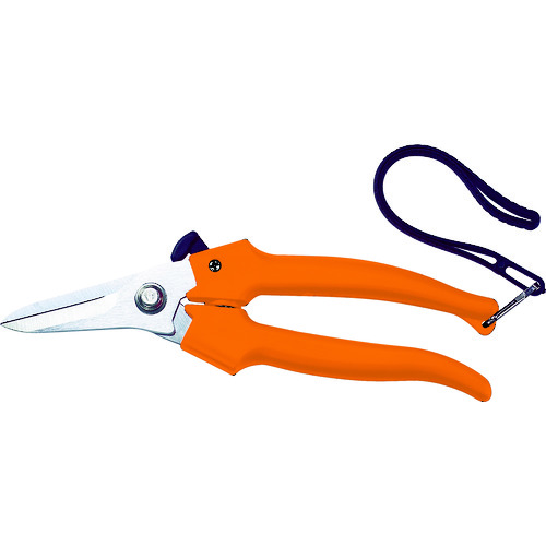 TCH-019 �P�[�u���͂��� ���̓^�C�v