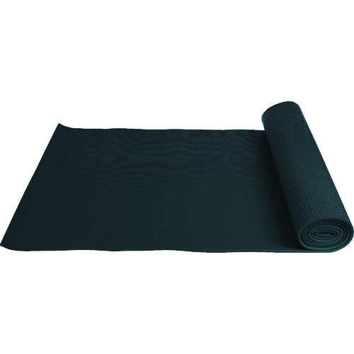TPM0660-�� PVC�}�b�g 6mmX1730mm
