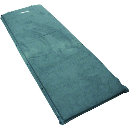 TAIRM-GY �G�A�[�}�b�g �O���[ 66X188X5CM