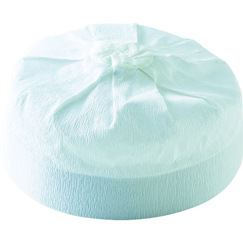 THIK-120 �w�����b�g�p�ی^���X�q 120����