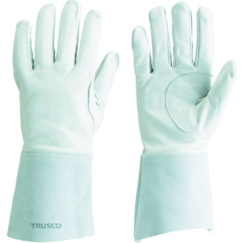 TYA-T5 �A���S���n�ڗp5�{�w���