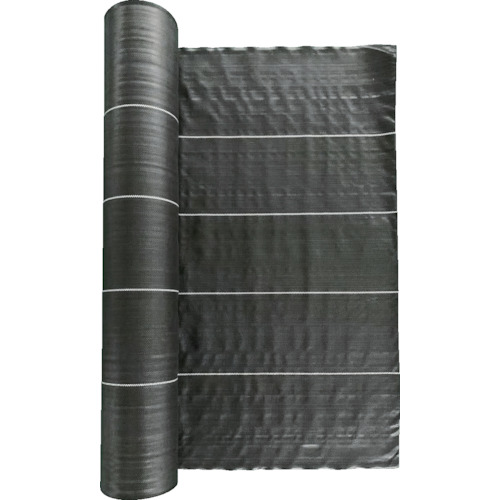 TBO5-��-BK �h���V�[�g �ό�5�N ��
