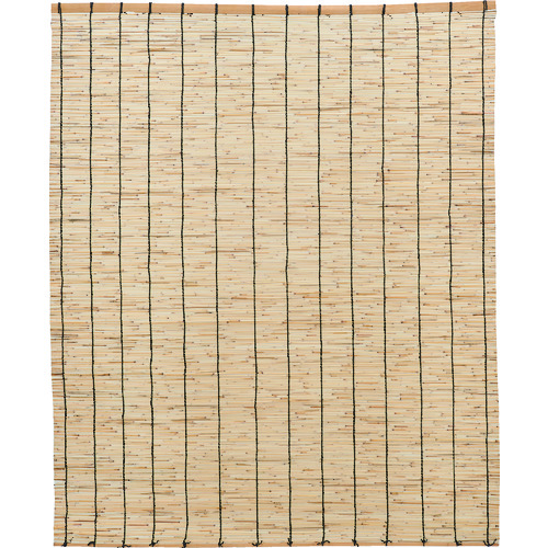 TRBR-�� �V�R������ �i�`������