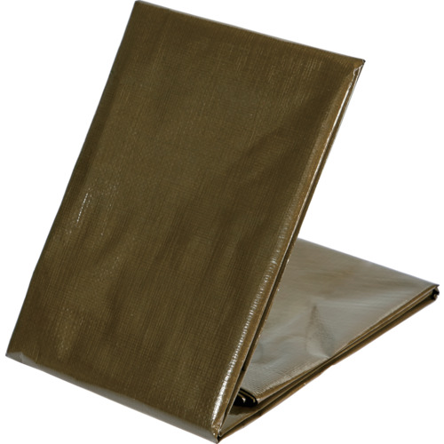 ODS-�� �G�ROD�O���[���V�[�g #3000