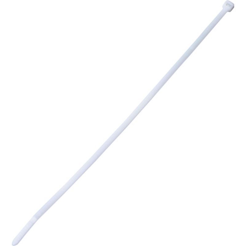 PLT Pan-Ty �����o���h �i�`������