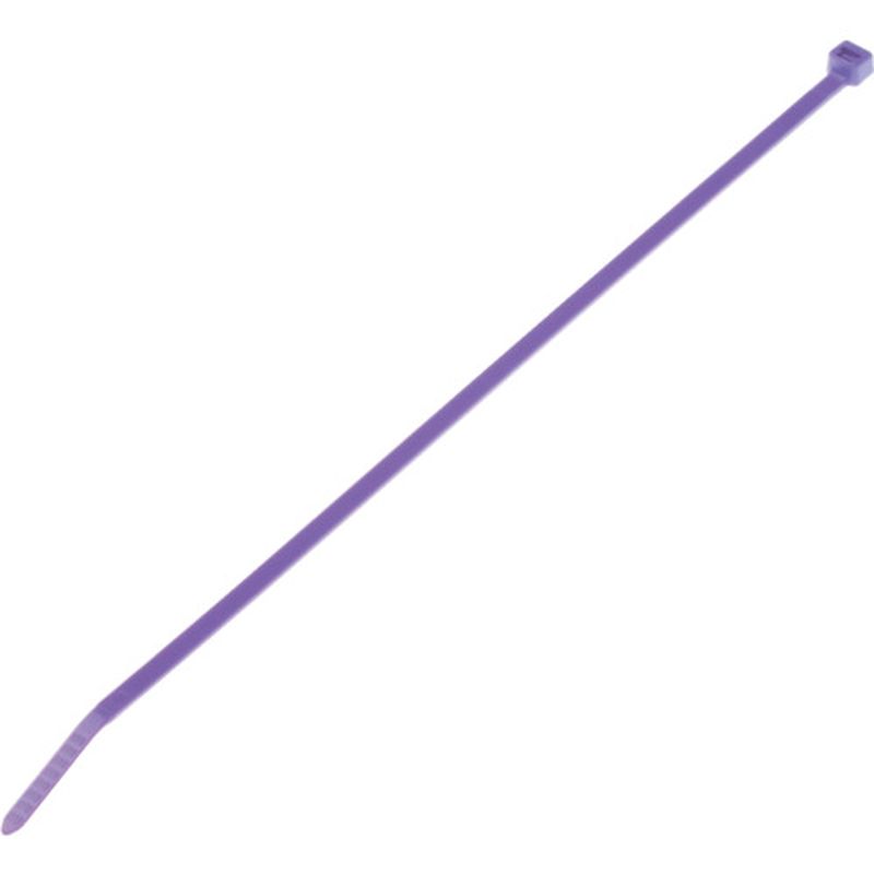 PLT Pan-Ty �����o���h �i�C����6.6(��)