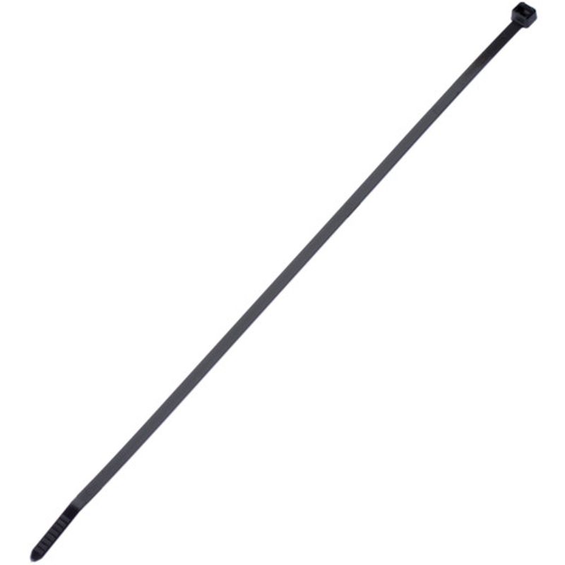 PLT Pan-Ty �����o���h �ό󐫃i�C����6.6(��)