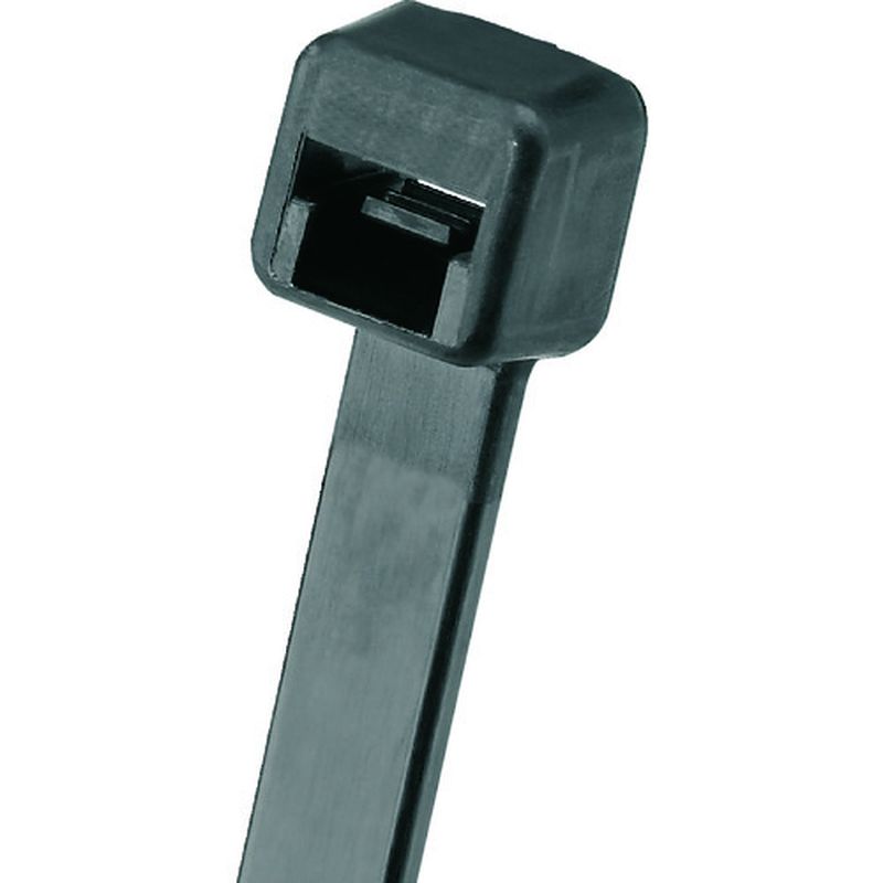 PLT Pan-Ty oh RiC6.6()