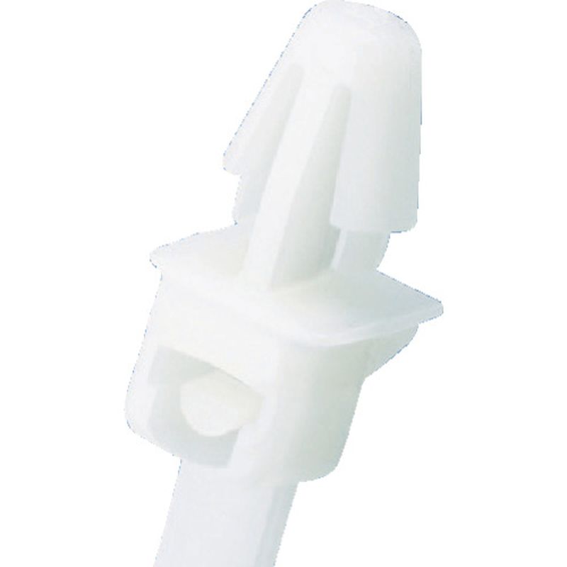 PLP Pan-Ty oh ݃^Cv iC6.6 (i`)