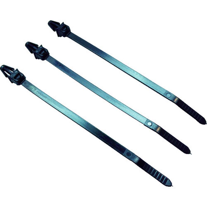 PLP Pan-Ty oh ݃^Cv ό󐫃iC6.6 ()