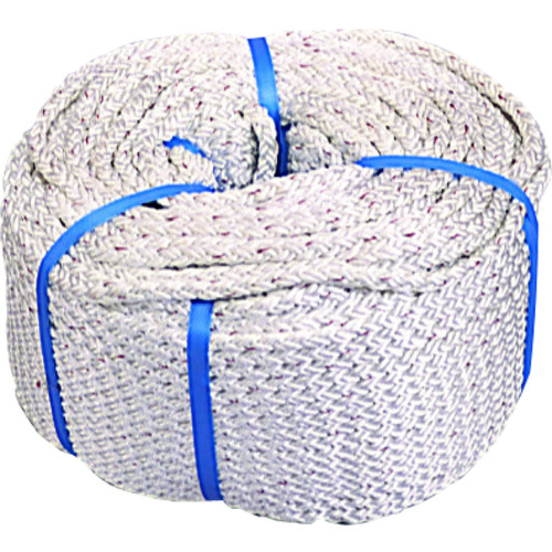 DNC-�� �i�C����8�N���X���[�v