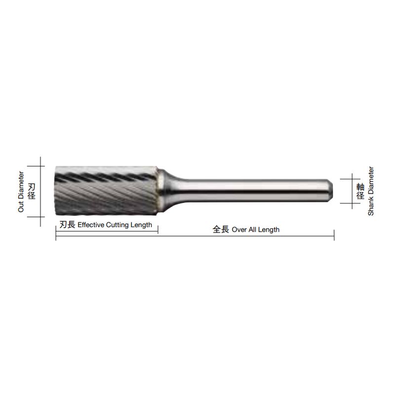 CB1-S xdo[ CBV[Y TYPE1 XpC