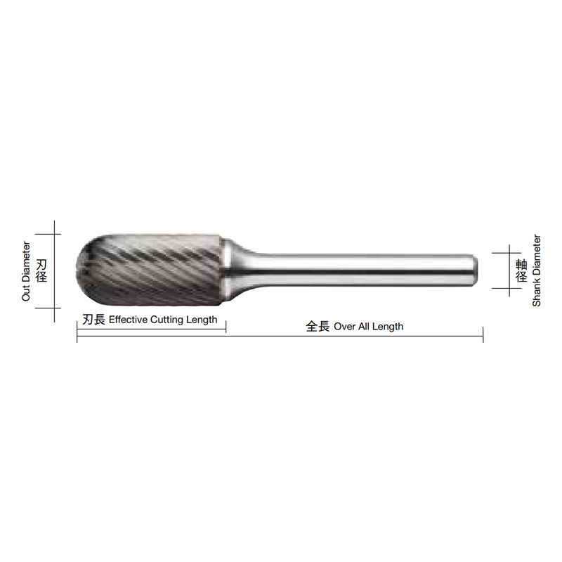 CB2-S xdo[ CBV[Y TYPE2 XpC