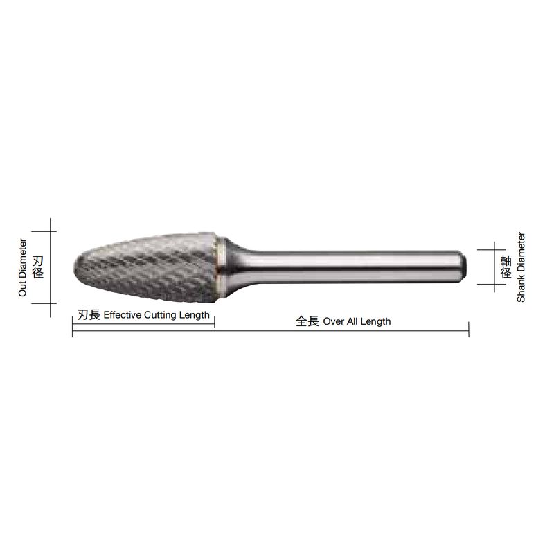 CB3--L xdo[ CBV[Y TYPE3 NX O^Cv