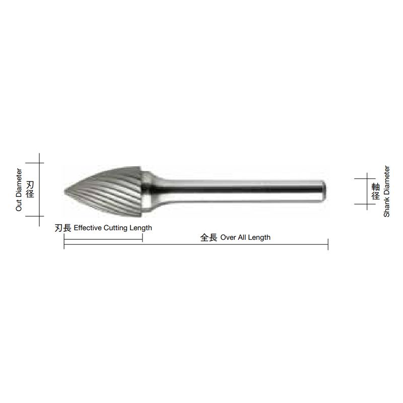 CB4-S-L xdo[ CBV[Y TYPE4 XpC O^Cv