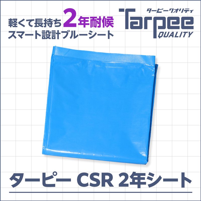 �^�[�s�[ CSR 2�N�V�[�g