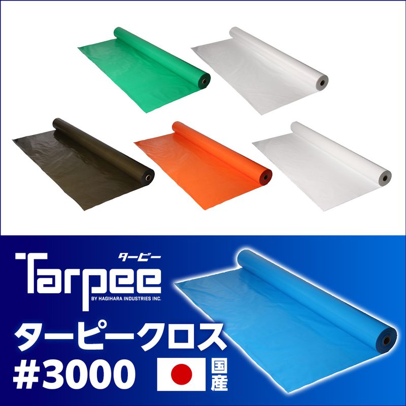 TPN �^�[�s�[�N���X #3000
