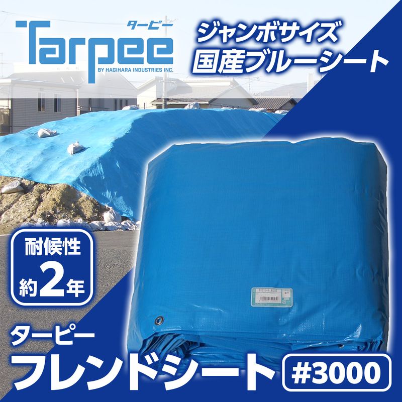 �^�[�s�[ �t�����h�V�[�g #3000