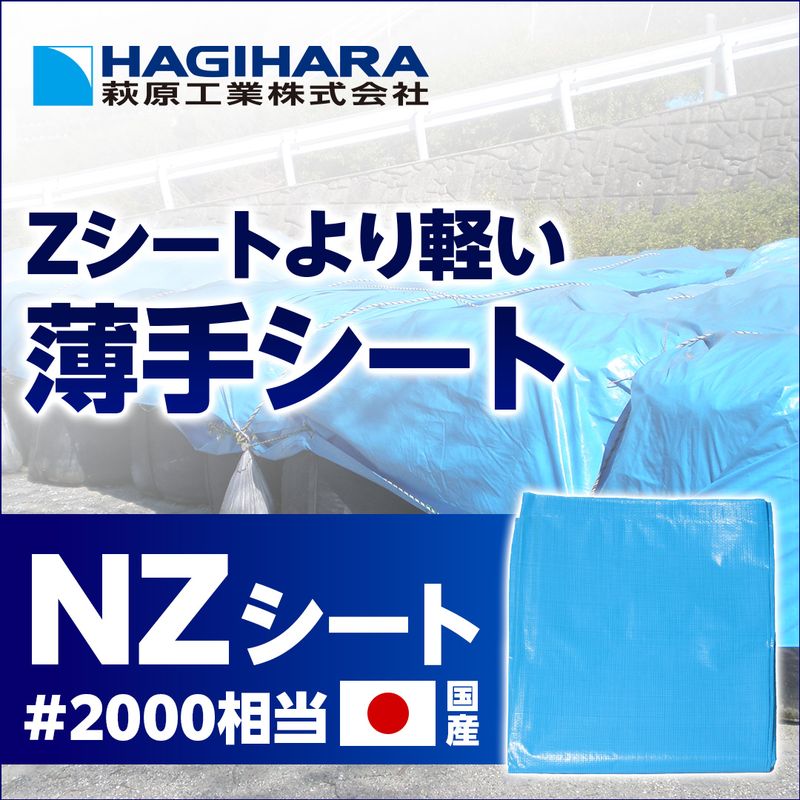 NZ�V�[�g #2000