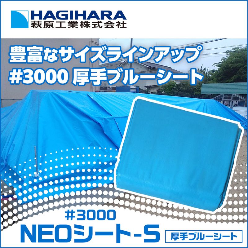 NEO�V�[�g�[S #3000