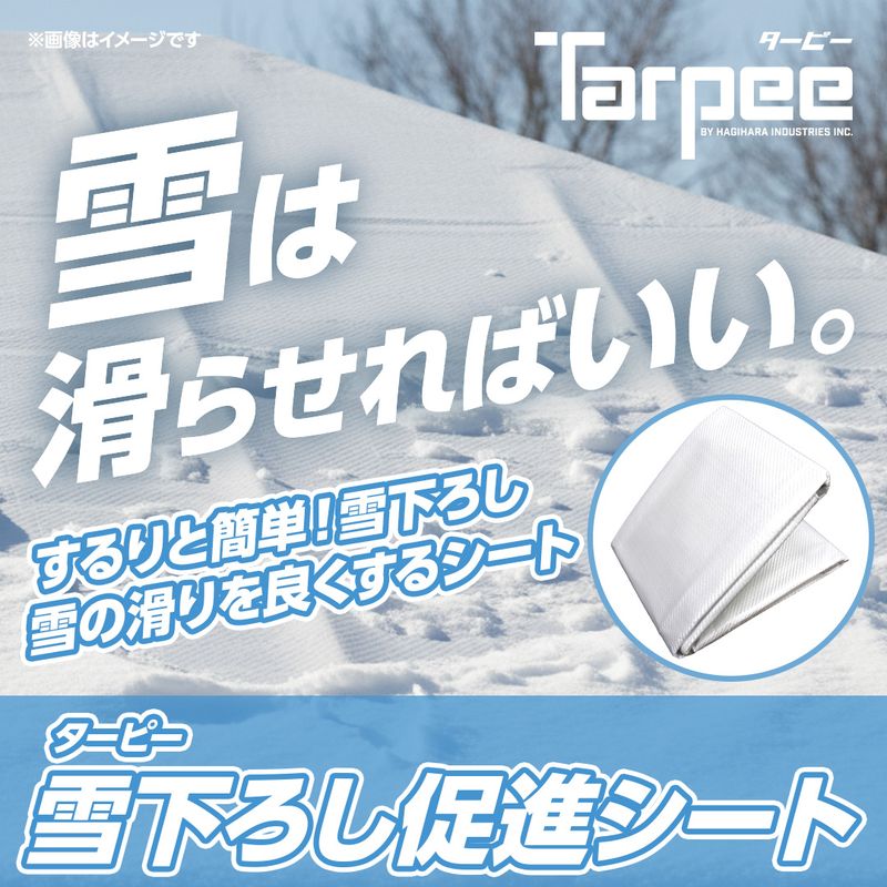 �^�[�s�[ �ቺ�낵���i�V�[�g