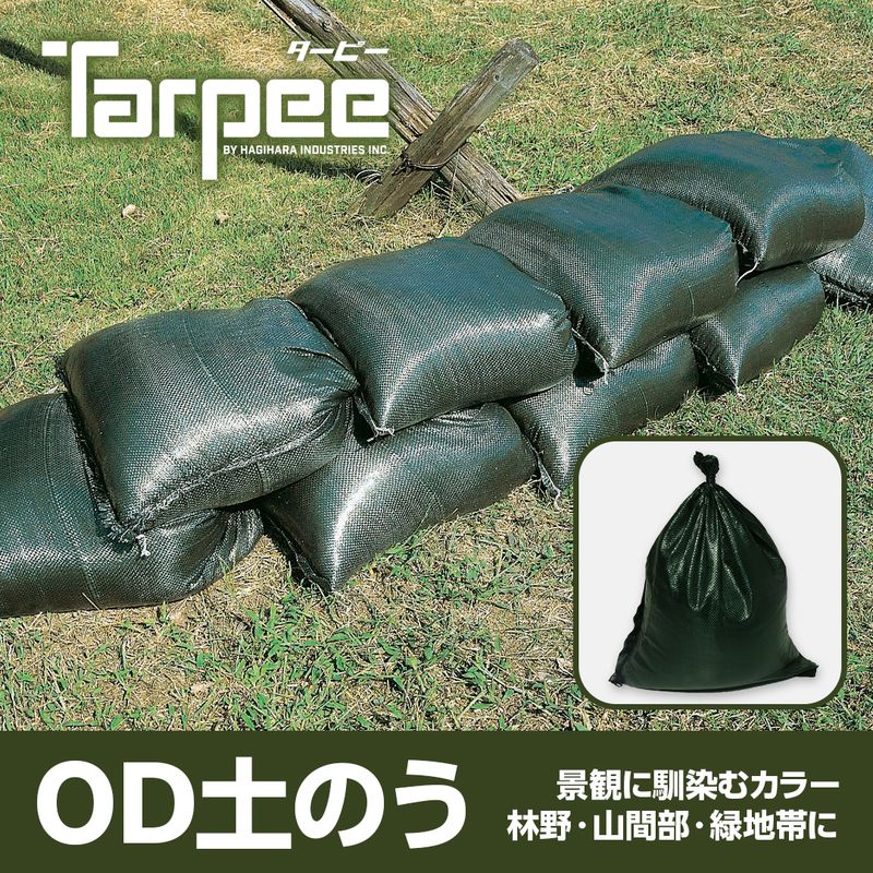 ODD4862200 OD�y�̂� OD�O���[��