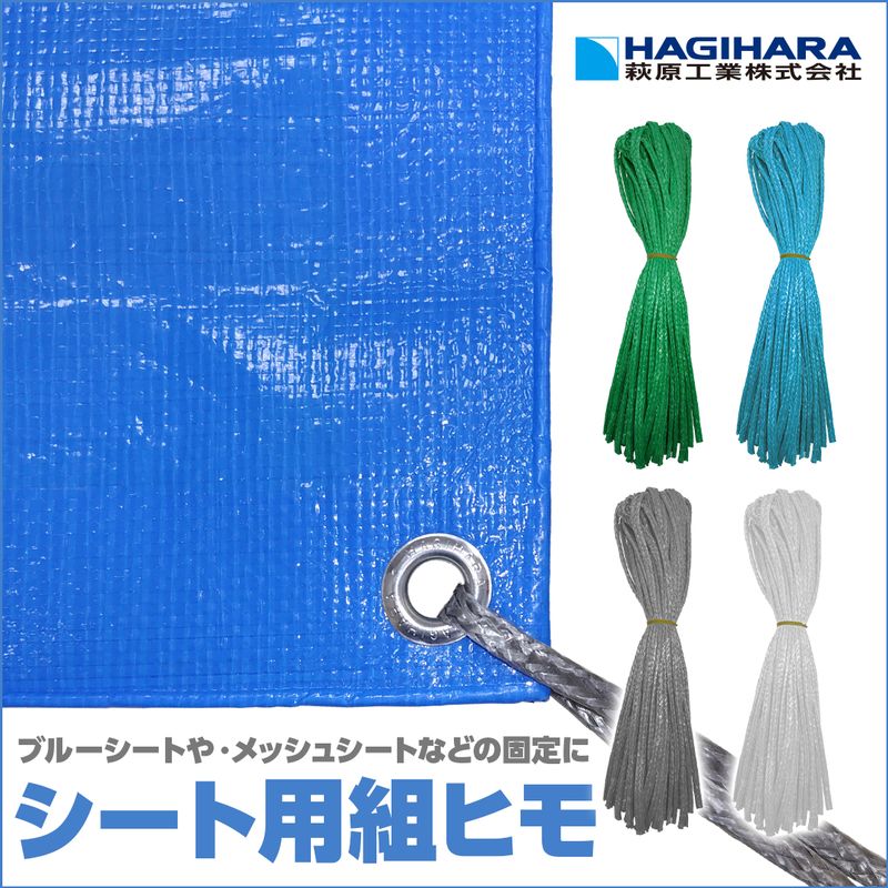 �V�[�g�p�g�R 60cm