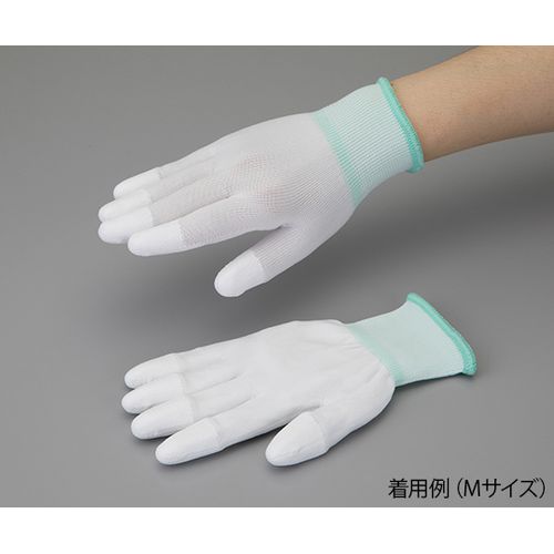 4-3077- AYsAPUN[(nCObv)