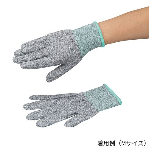 4-3164-�� �A�Y�c�[���ϐؑn���(���x��5��R�[�g��)