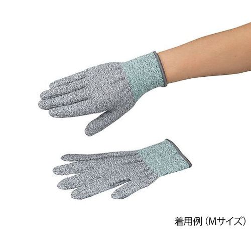 4-3165- AYc[ϐؑn(x3R[g)