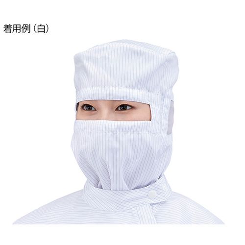 4-3173- AYsAN[t[hII sN