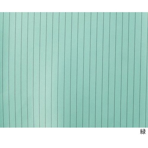 4-3176- AYsAN[X[cII(t[hʥTCht@Xi[^)