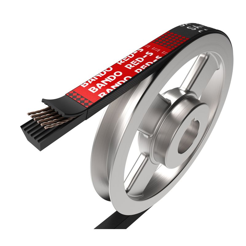 SA�� �_�@�pV�x���g ���b�hS�U SA�`