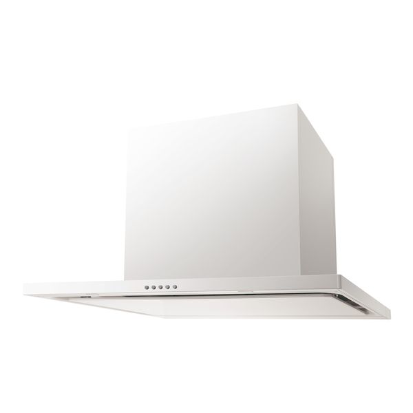 WNBS-C��CDM �X�����^�m���t�B���^�[�t�[�h(�Z���^�[�t�[�h)